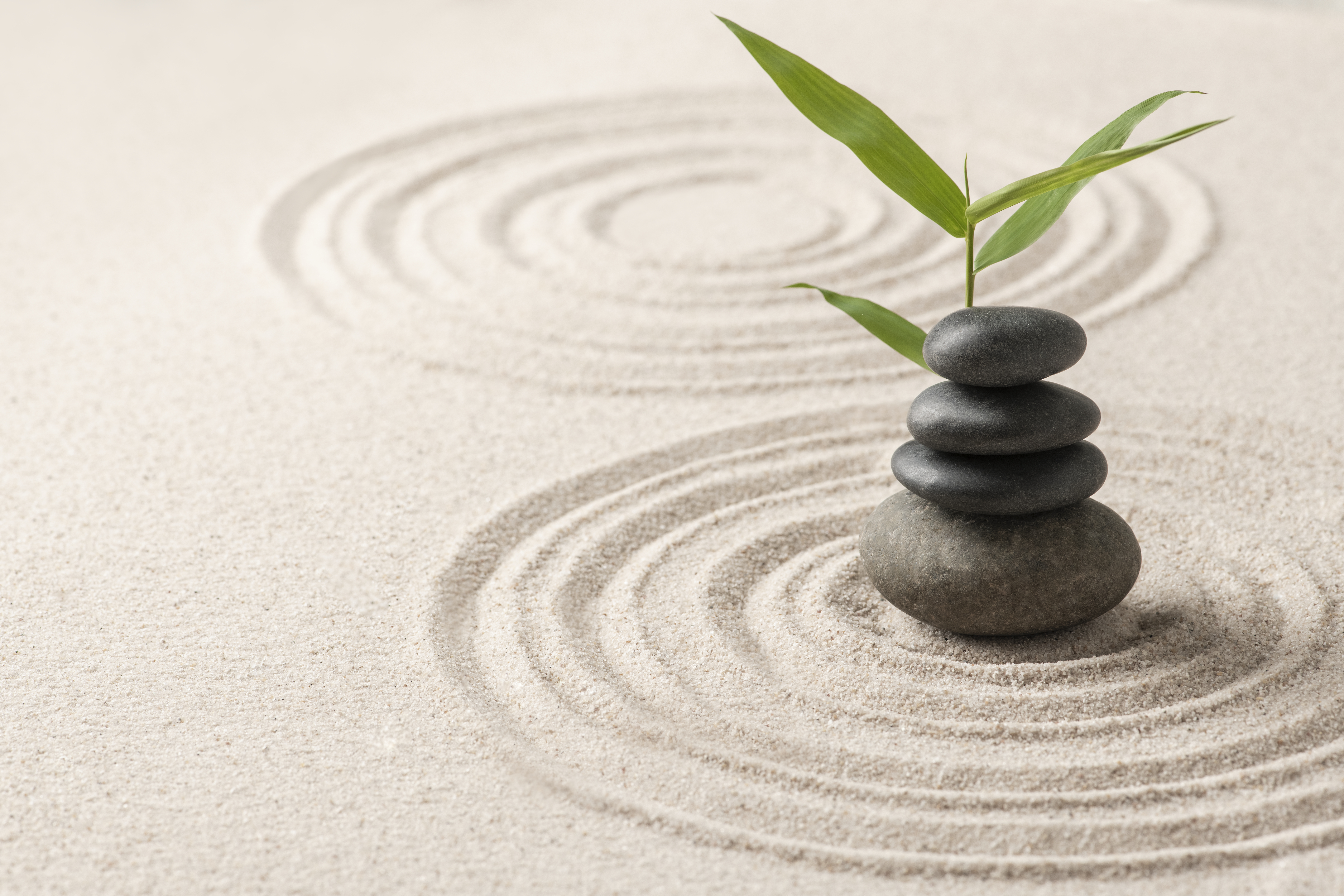 Eco-Smart Living: From Concept to Prototype